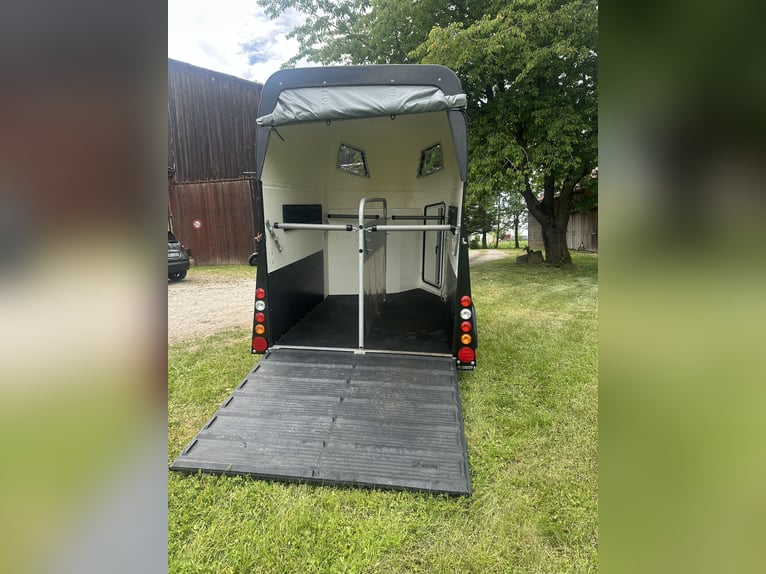 Remolque para caballos ANSSEMS D20 | Primer uso 03/2024 | Capacidad 2.000 kg, carrocería de polietil