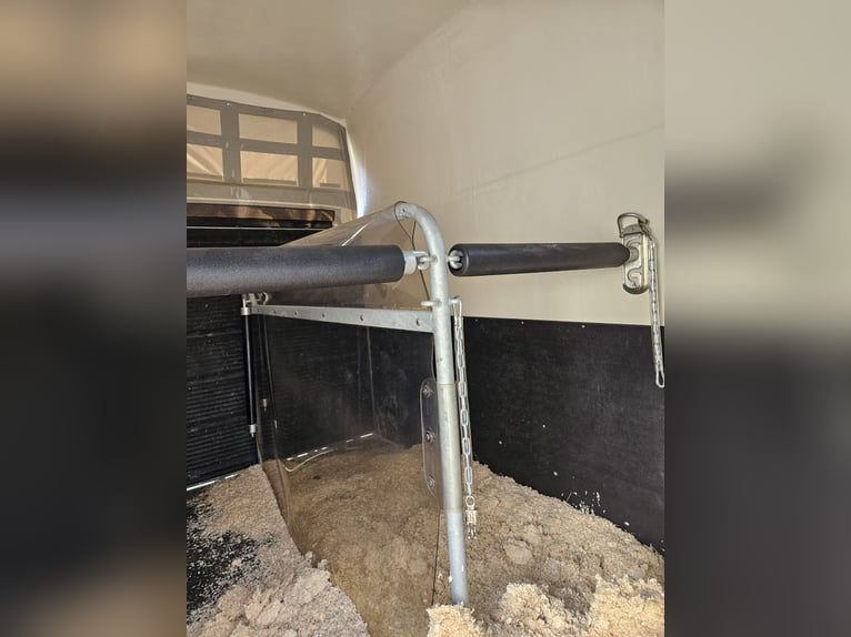 Remolque para caballos Böckmann Comfort de 2 plazas