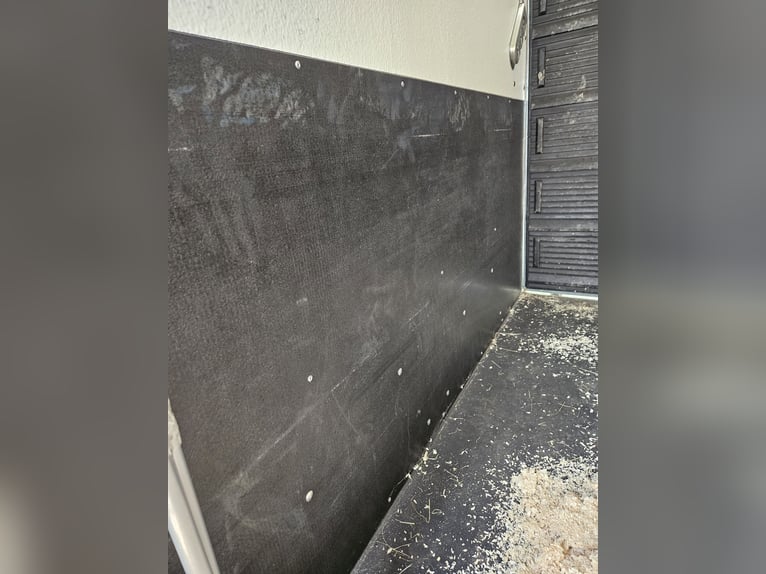 Remolque para caballos Böckmann Comfort de 2 plazas