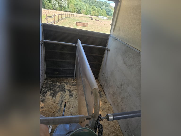 Remolque para caballos Böckmann