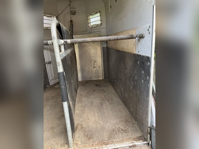 Remolque para caballos Böckmann de 2 plazas