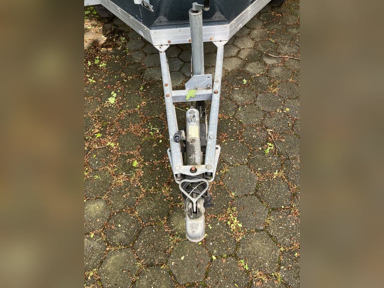 Remolque para caballos Böckmann de 2 plazas