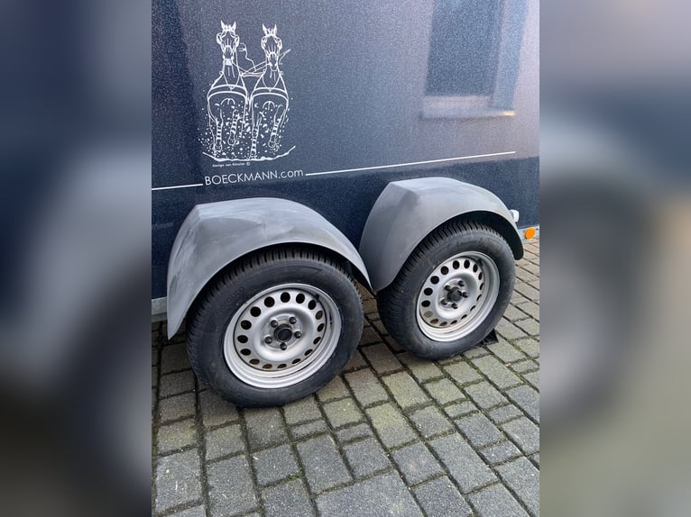 Remolque para caballos Böckmann de polietileno completo con plataforma de aluminio