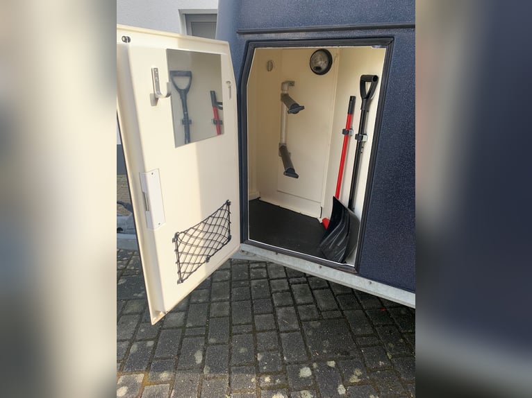 Remolque para caballos Böckmann de polietileno completo con plataforma de aluminio