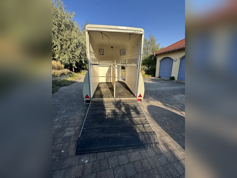 Remolque para caballos Böckmann Top Master con plataforma de aluminio y compuerta de carga Easy Exit
