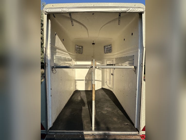 Remolque para caballos Böckmann Top Master con plataforma de aluminio y compuerta de carga Easy Exit