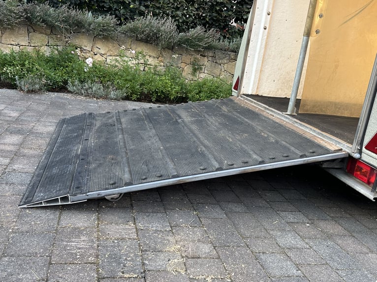 Remolque para caballos Böckmann Top Master con plataforma de aluminio y compuerta de carga Easy Exit