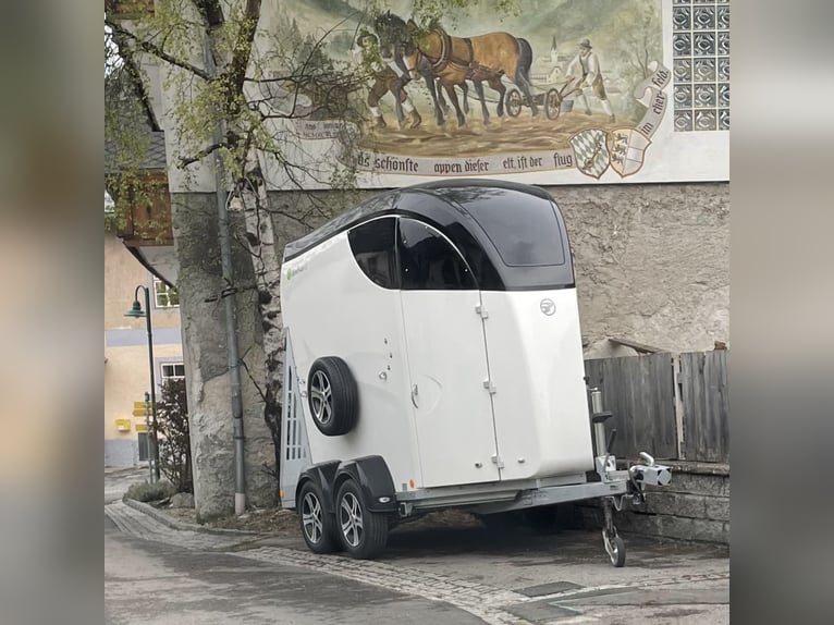 Remolque para caballos Careliner S (Bücker), optimizado para caballos islandeses