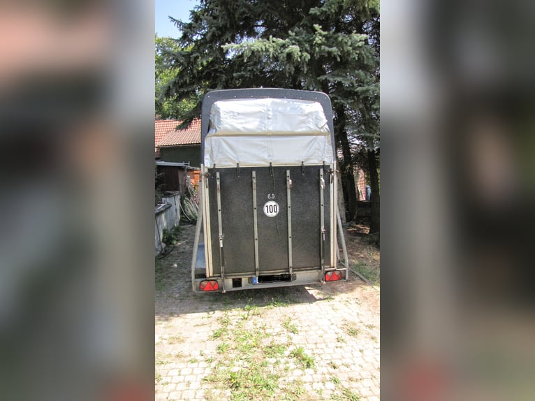 Remolque para caballos con suelo en estado casi nuevo