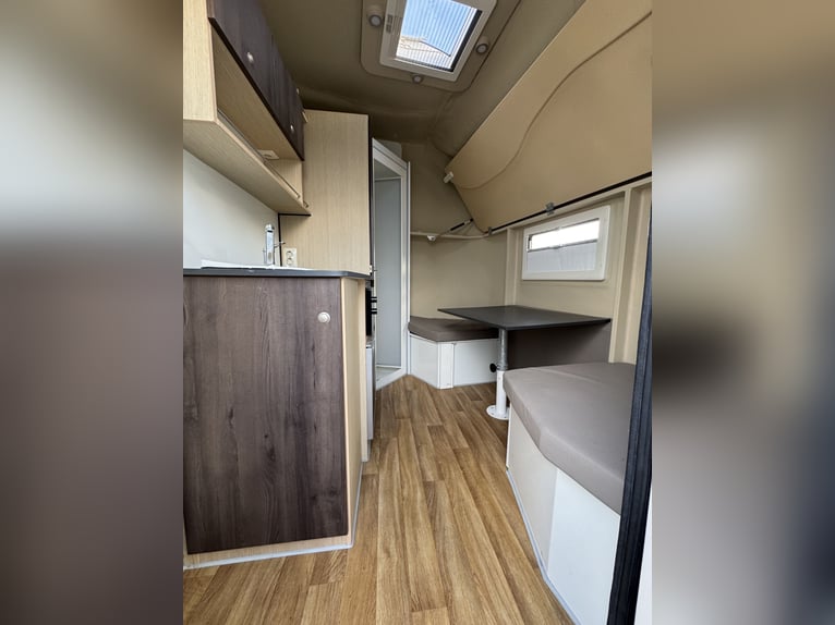 Remolque para caballos Steinsberger de 3 plazas con vivienda incorporada