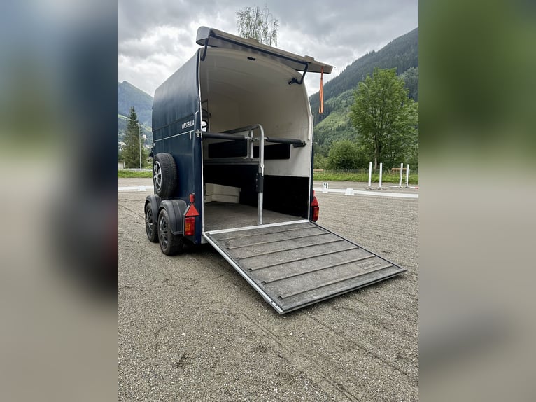 Remolque para caballos Westfalia Jupiter de alta gama - Totalmente revisado, NUELO suelo y revisión