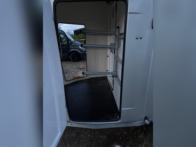 Woermann Jumbo-Liner Pferdeanhänger +++ NEUER PREIS