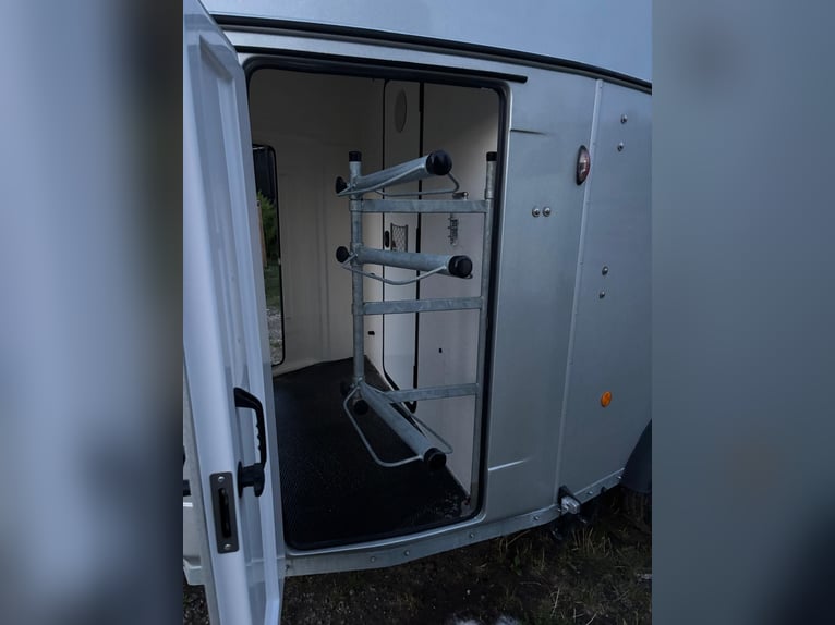 Woermann Jumbo-Liner Pferdeanhänger +++ NEUER PREIS