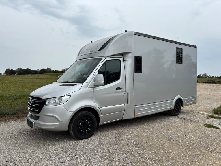 Transportín para caballos Mercedes Sprinter con 200 CV, carrocería 2026, 5 asientos