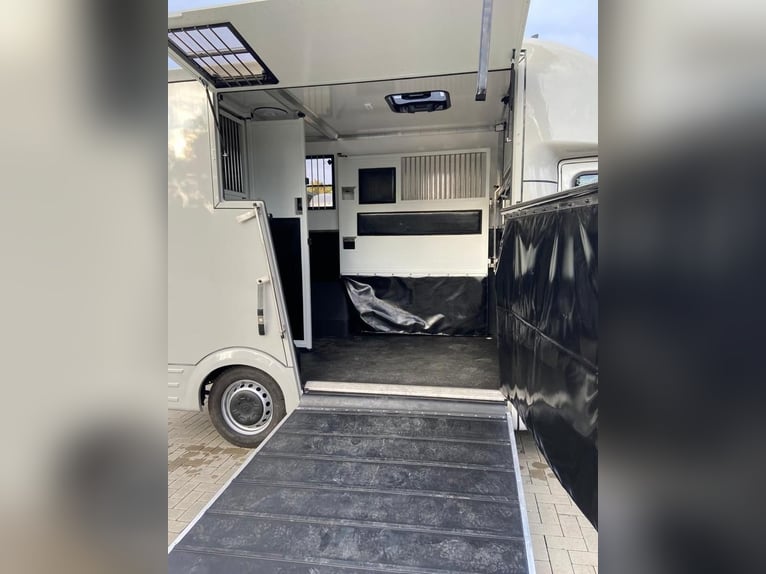 Transportista de caballos: Renault Master 2024