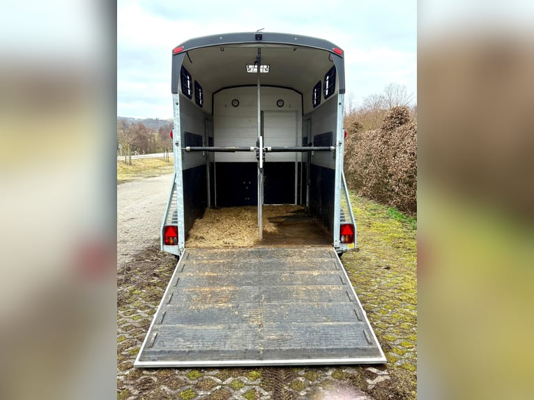 Böckmann Big Portax WCF, año de fabricación 2023