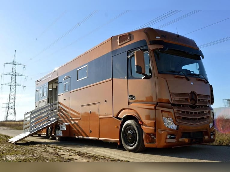 Camión de transporte de caballos con pintura especial