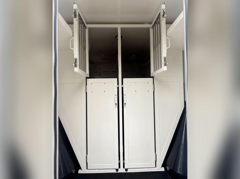 Carro de caballos Mercedes-Benz Sprinter con remolque