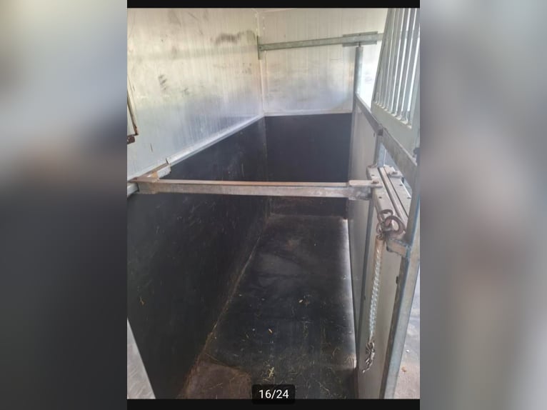 Carro de dos caballos. En los Países Bajos exento de impuestos de circulación, inspección técnica vá