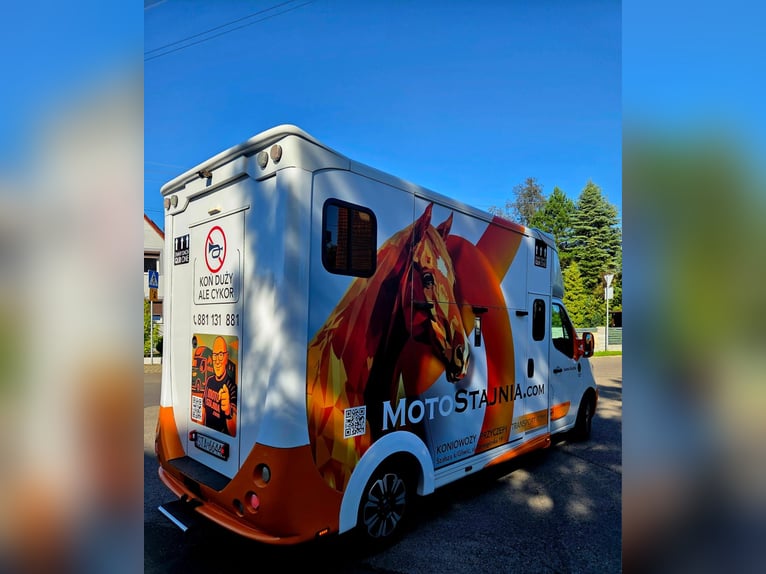 Carroza para 2 caballos - Estado excelente