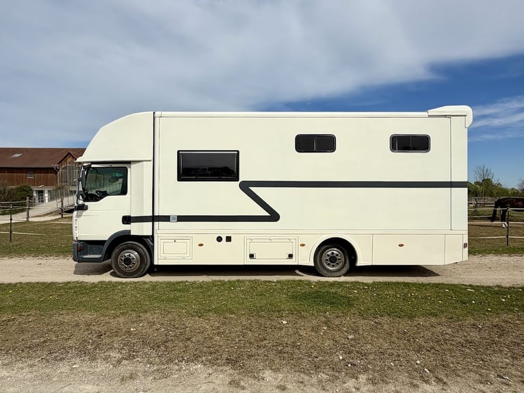 Camión MAN 8.180 transportador de caballos Steinsberger, para 4 caballos, con cabina vivienda, ducha