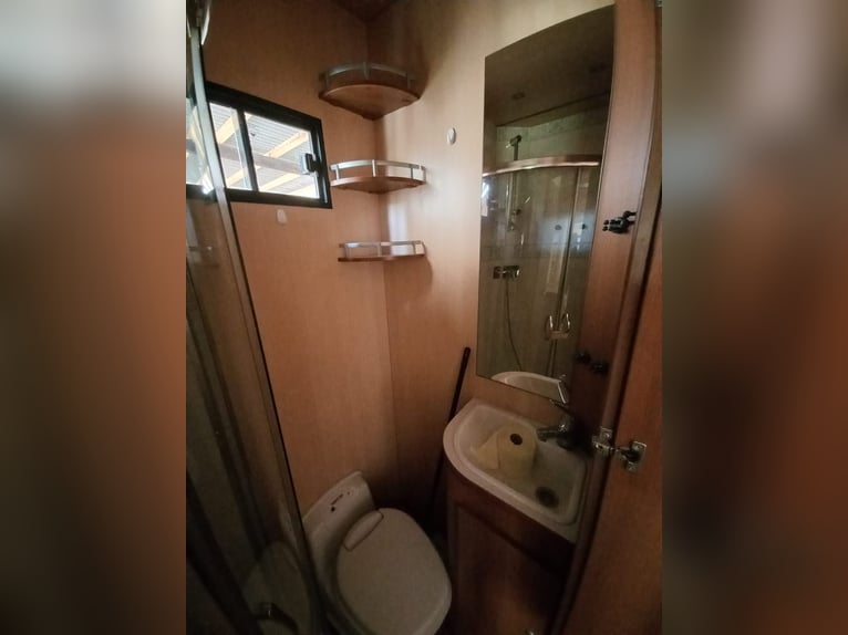 Camión para transporte de caballos con vivienda a la venta a buen precio debido a una compra urgente