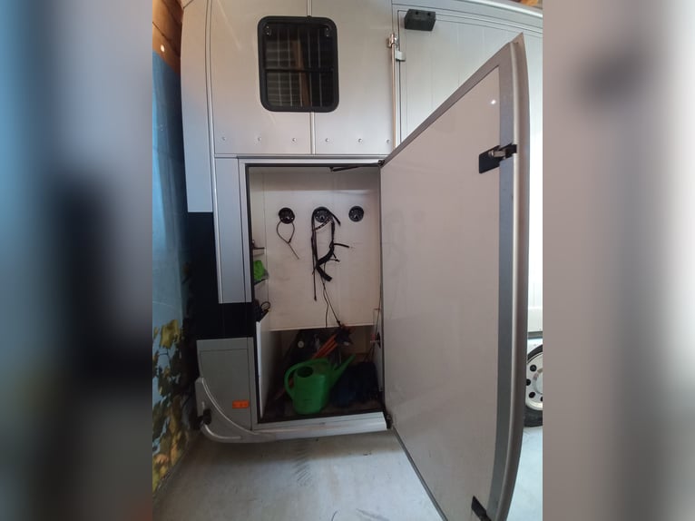 Camión para transporte de caballos con vivienda a la venta a buen precio debido a una compra urgente