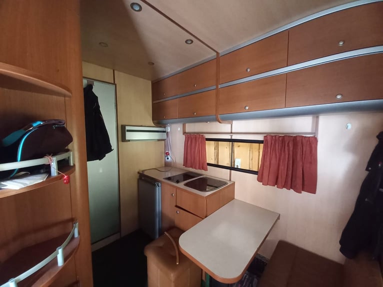 Camión para transporte de caballos con vivienda a la venta a buen precio debido a una compra urgente