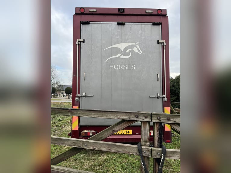 Camión para transporte de caballos de 7,5 toneladas en venta