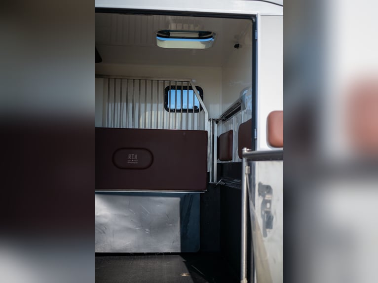 FIAT - DUCATO (2020)