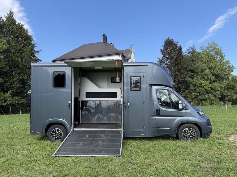 FIAT Ducato Böckmann Compact transportín para 2 caballos, con caja automática, capacidad para 5 pers