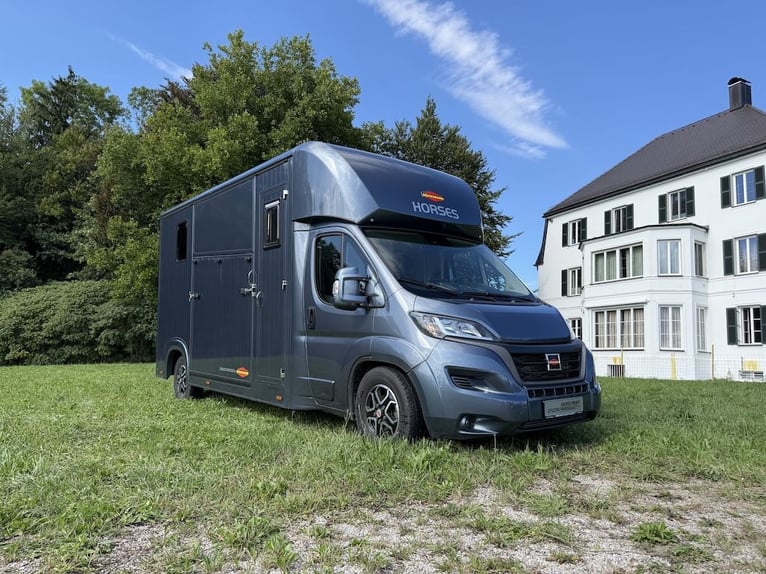 FIAT Ducato Böckmann Compact transportín para 2 caballos, con caja automática, capacidad para 5 pers