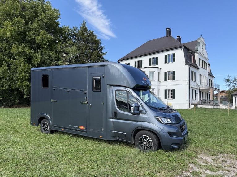 FIAT Ducato Böckmann Compact transportín para 2 caballos, con caja automática, capacidad para 5 pers