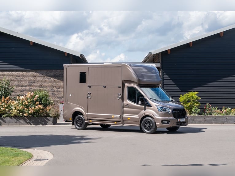 Ford Roelofsen Parados Sport 2-Pferdetransporter Deluxe Edition - Automatik - Sofort verfügbar!