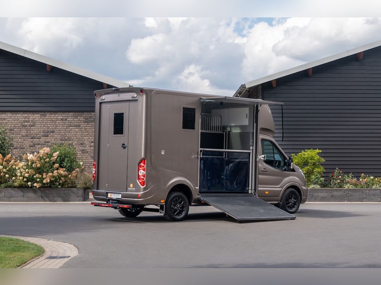 Ford Roelofsen Parados Sport, transporte de caballos para 2 caballos, edición deluxe – automático – 