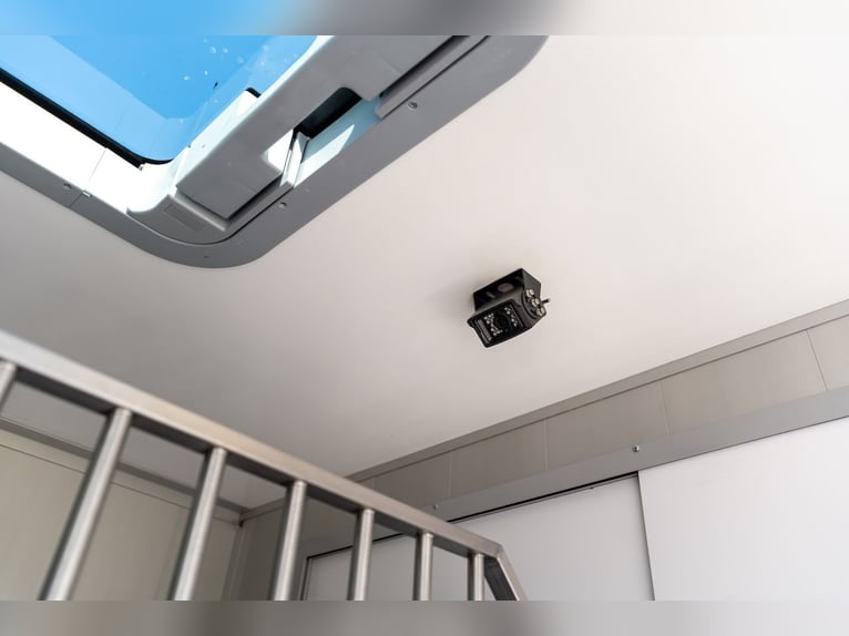 Ford Roelofsen Parados Sport, transporte de caballos para 2 caballos, edición deluxe – automático – 