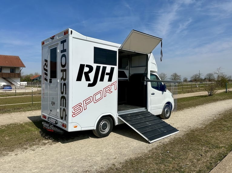 Mercedes-Benz 419 Sprinter 2-car Transporter RJH Sport 3.5t Truck