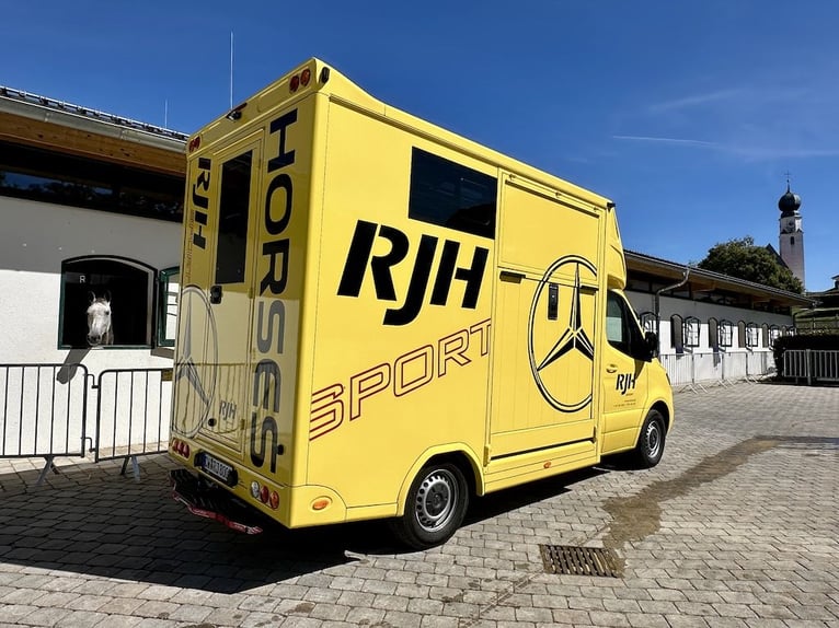 Mercedes-Benz Sprinter 419 CDI RJH Sport, transporte de caballos para 2 caballos, camión - vehículo 