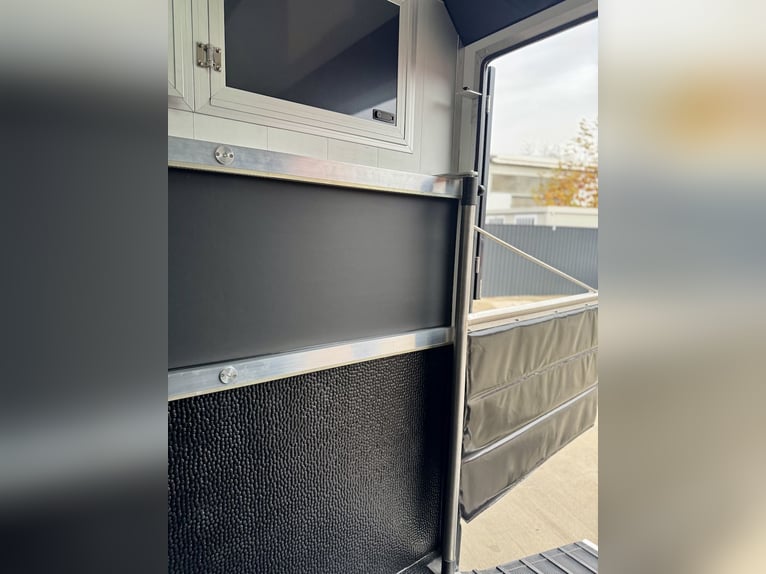 Nuevo modelo Renault EQUITA transportador de caballos para 2 caballos, camión de 3 plazas con transm