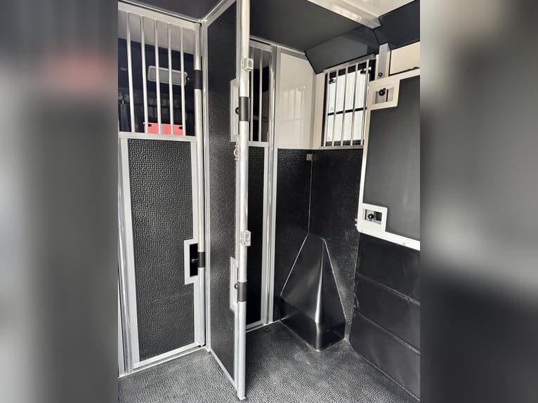 Nuevo modelo Renault EQUITA transportador de caballos para 2 caballos, camión de 3 plazas con transm