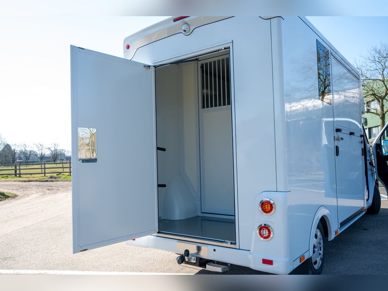 Nuevo Renault Master (0000)