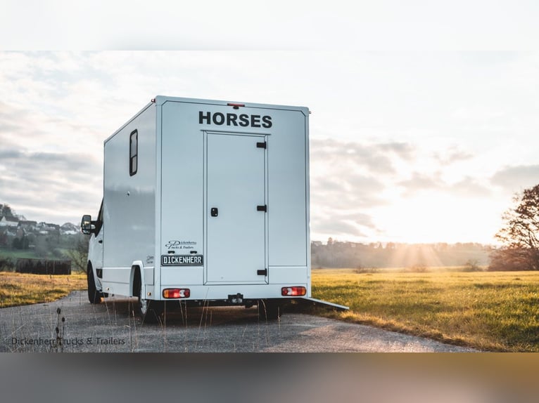 Pferdetransporter-DT 2-Ride Renault Master light 3,5t Neufahrzeug Horsevan Horsetruck B-Führerschein