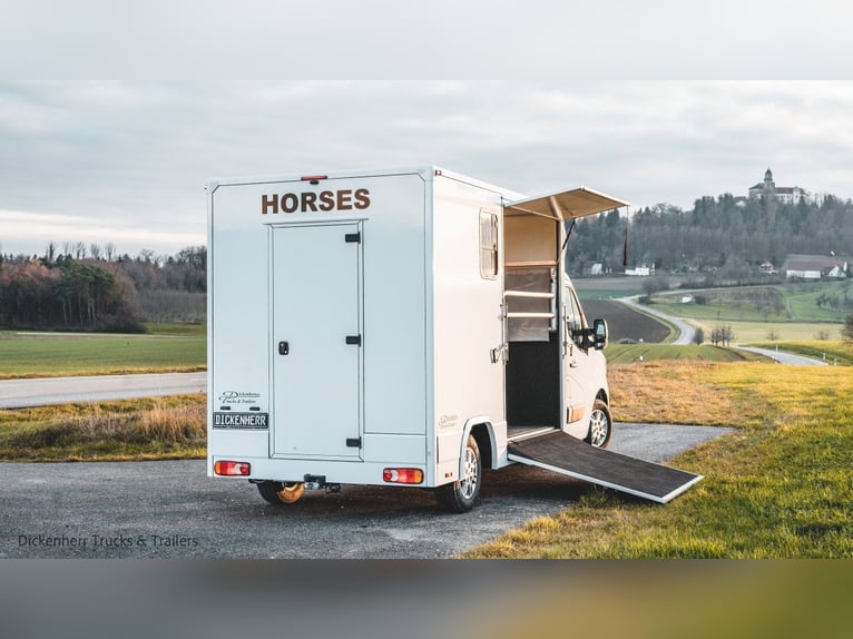 Pferdetransporter-DT 2-Ride Renault Master light 3,5t Neufahrzeug Horsevan Horsetruck B-Führerschein