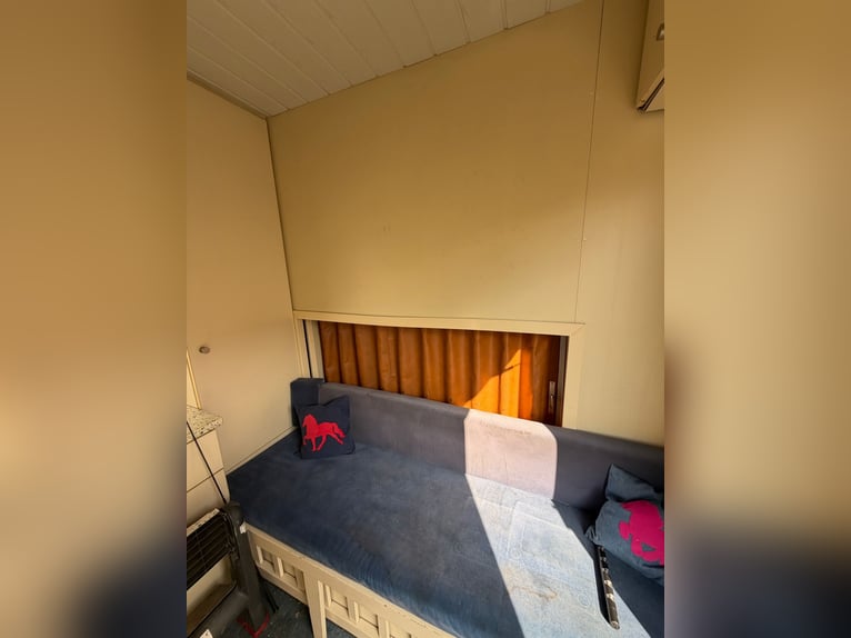 Remolque para caballos Mercedes 814 con licencia H para 4 caballos. Nueva inspección técnica.