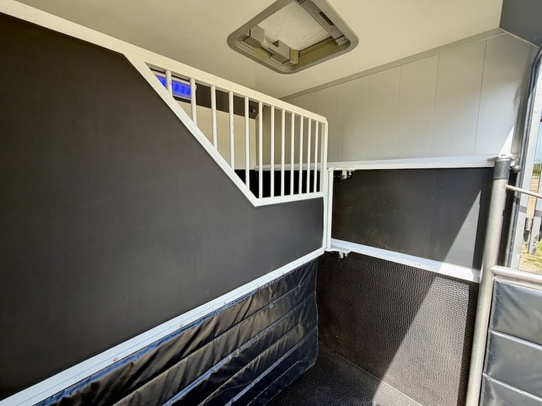 Renault Master EQUITA transportín para 2 caballos, vehículo de ocasión, con capacidad para 5 persona