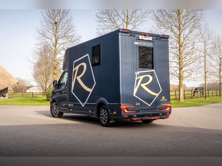 Renault Roelofsen Parados Transportador para 2 caballos, con transmisión automática, modelo nuevo 20