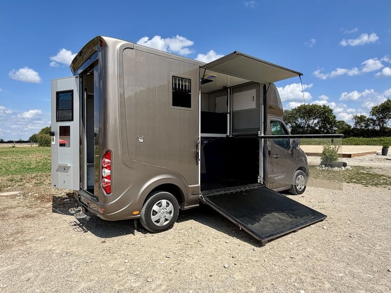 Renault Roelofsen Parados, transportador para dos caballos, con transmisión automática y TÜV recién 
