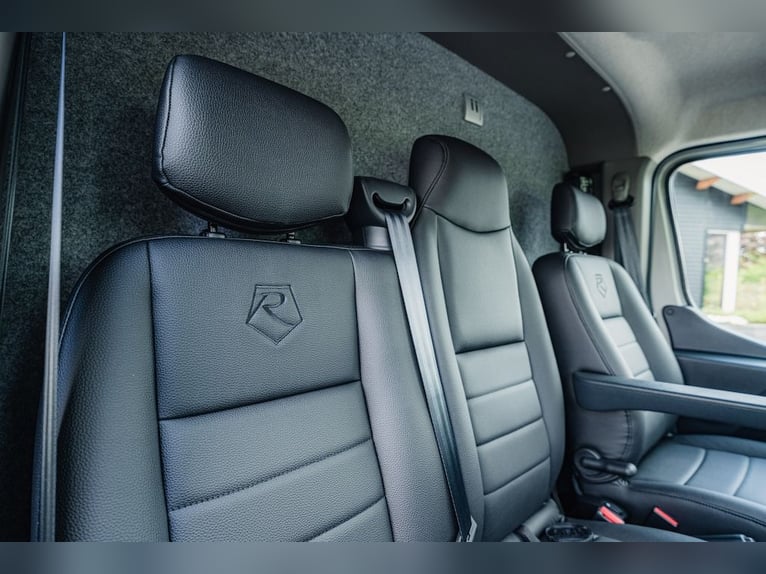 Renault Roelofsen Yorse Edición Especial Transportador para 2 caballos Vehículo de ocasión con trans