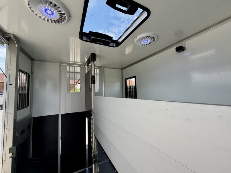 Renault Roelofsen Yorse transportín para 2 caballos - último modelo - alta capacidad de carga - PREC