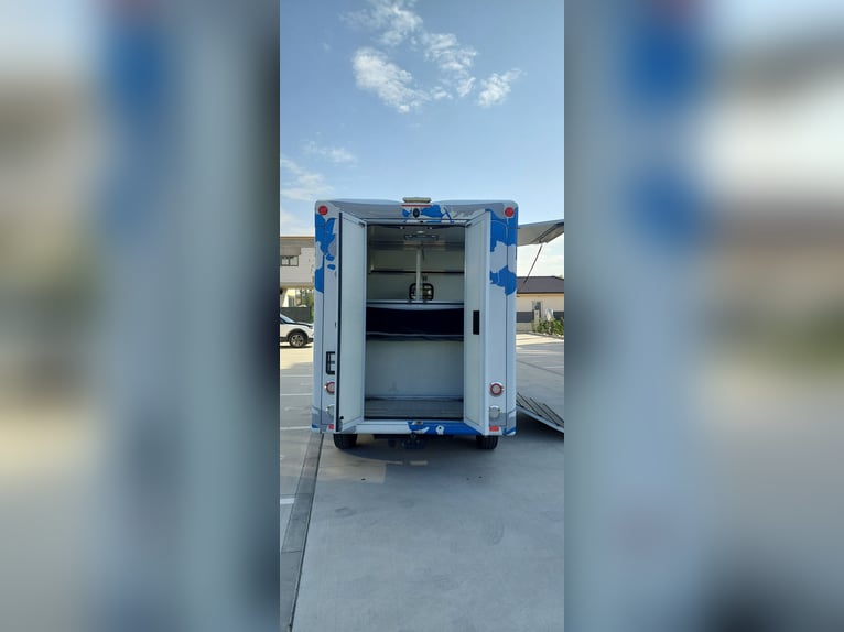 Se vende transportador de caballos Paragan Equistar 3.